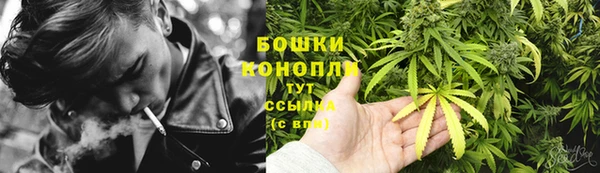 наркотики Бородино