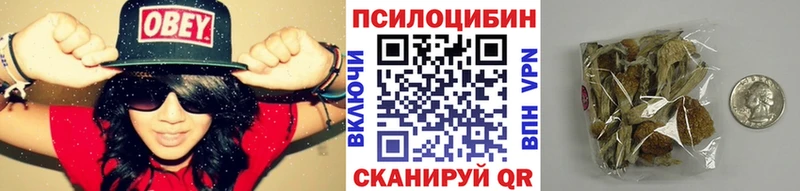 купить наркотик  Петропавловск-Камчатский  Галлюциногенные грибы Psilocybine cubensis 